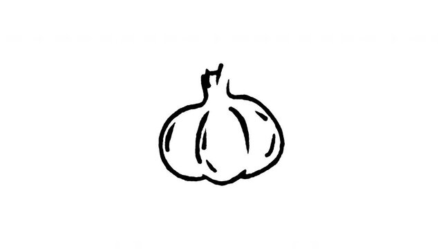 Animated doodle icon of a fresh garlic bulb for savory cooking flavor.