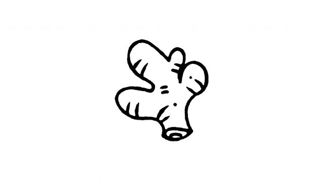 Animated doodle icon of a fresh ginger root for spice, tea, and herbal medicine.