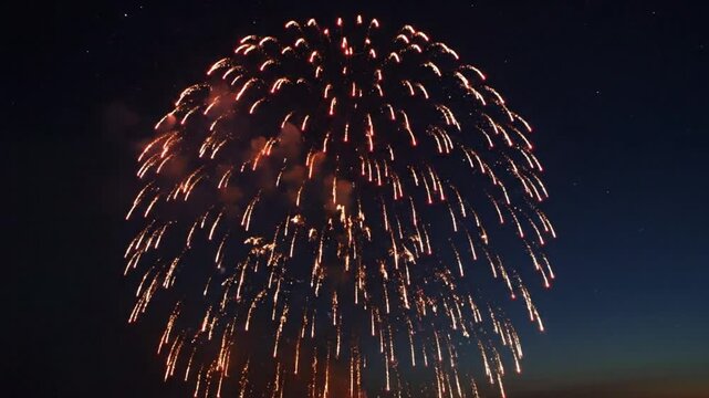 Spectacular Fireworks Display: A Colorful Burst of Light Against a Dark Night Sky with Sparkles