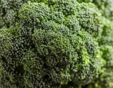 Close-up macro shot of a fresh green broccoli floret, highlighting its intricate texture and vibrant color.