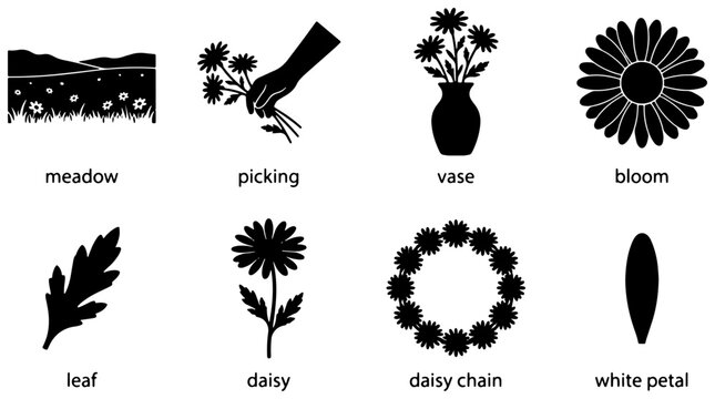 Daisy Flower Icons, Meadow & Picking Scenes, Botanical Elements, Vector Graphics Set for Nature and Spring Designs