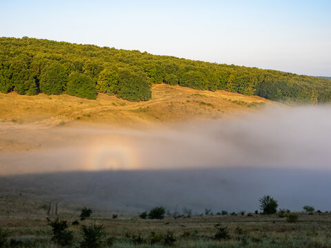 Glory Phenomenon Visible in Morning Fog at Sunrise