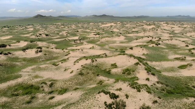 Gobi desert aerial drone view across dunes and sparse vegetation in arid Mongolia.