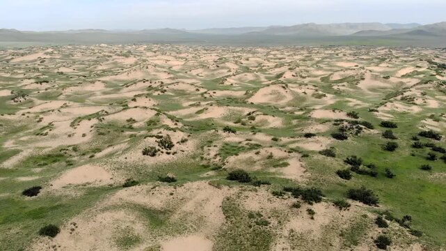 Gobi desert aerial drone view across dunes and sparse vegetation in arid Mongolia.