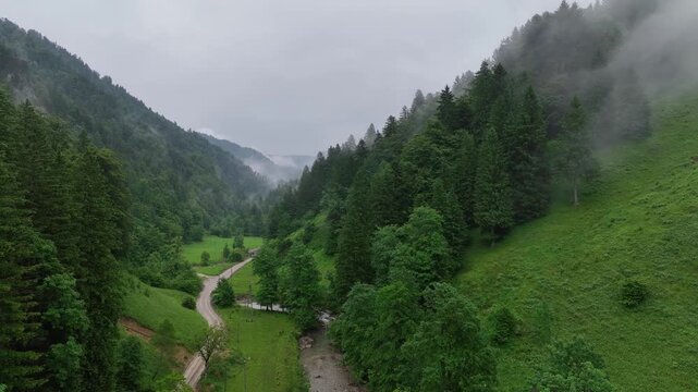 Drone footage over Slovenia Alps mountain forest . with fog and low clouds in moody summer day creating cinematic natural atmosphere and magical alpine scenery of wilderness