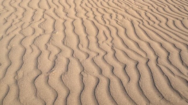 Close view of desert sand ripples and dune patterns across a barren empty landscape.