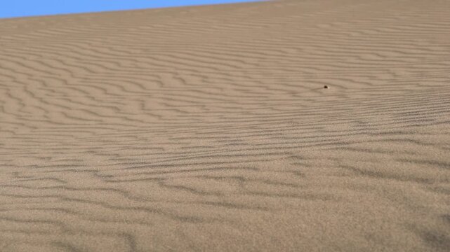 Close view of desert sand ripples and dune patterns across a barren empty landscape.