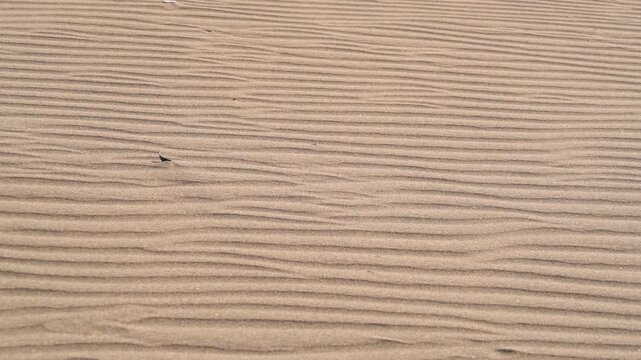 Close view of desert sand ripples and dune patterns across a barren empty landscape.