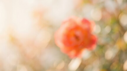 Obraz premium Abstract orange-red blossom rendered as a soft glowing blur against a warm ivory and pale peach background, dreamy botanical photography, diffused sunlight, minimal composition and gentle romantic