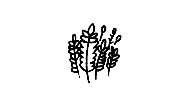 Animated doodle icon of golden wheat stalks grain symbol of farming and harvest.