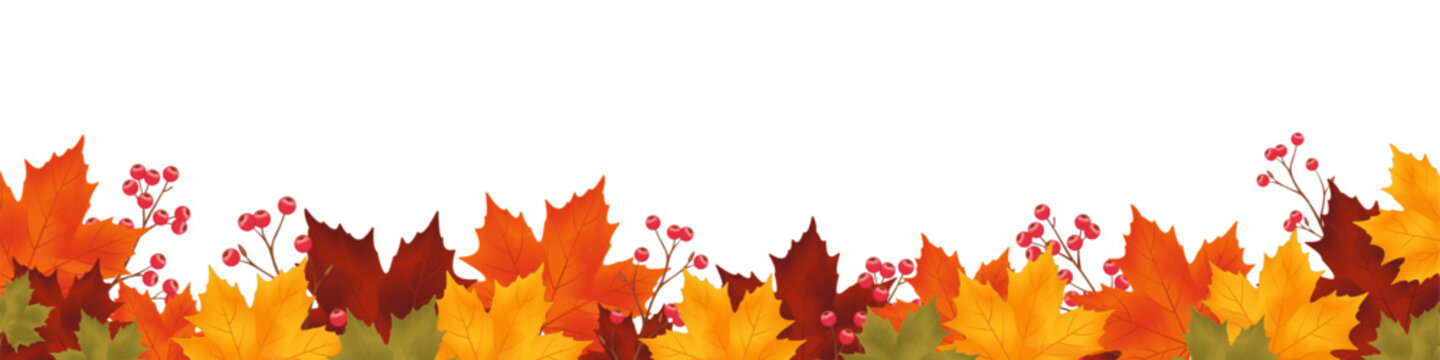 Autumn maple leaf border with colorful fall foliage and red berries on a clean white background, elegant seasonal decoration with spacious copy space for Thanksgiving, harvest sale, banner, flyer