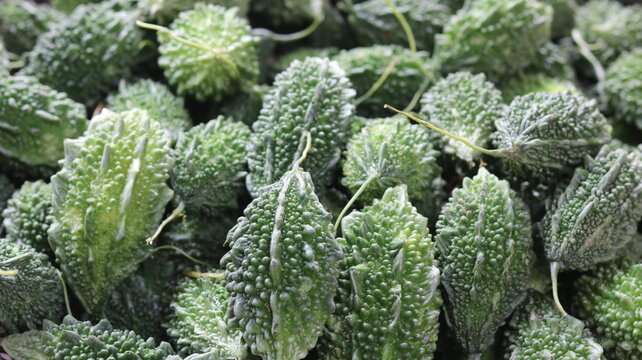 Fresh Green Bitter Gourds Close Up Natural Vegetable Background