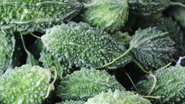 Fresh Green Bitter Gourds Close Up Natural Vegetable Background