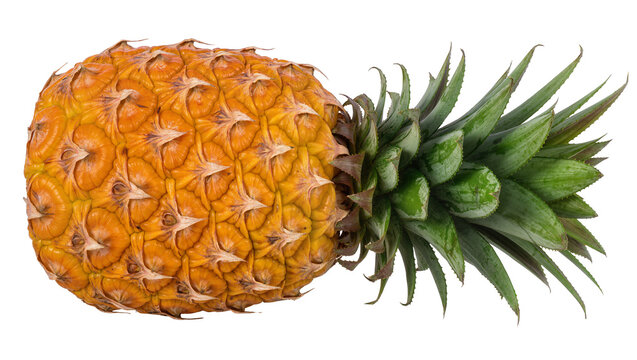 Whole ripe pineapple with textured rind and green leafy crown, isolated on transparent background