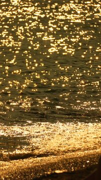 Golden sunlight reflects on ocean waves crashing against a sandy beach shore. Static long shot.