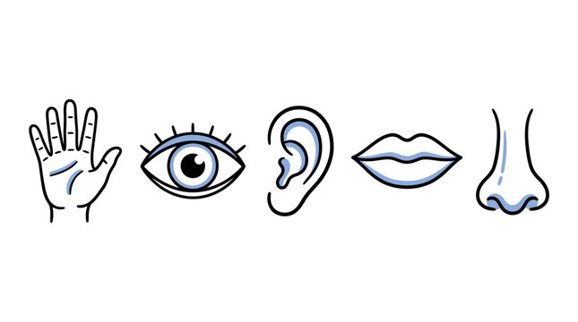 Five human sense icons representing touch, sight, hearing, taste and smell in minimalist line art style, perfect for medical education materials, sensory branding and health campaigns