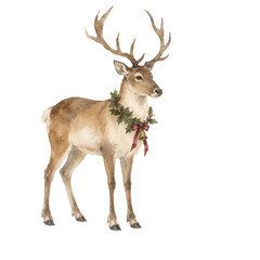 Watercolor Christmas reindeer with holly, festive bell and burgundy bow, hand painted deer illustration isolated on transparent background for winter holiday designs. © Julia