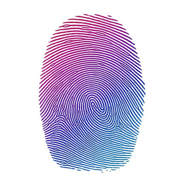 Colorful fingerprint icon with gradient lines for digital security