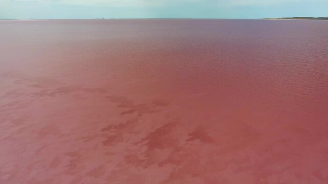 Aerial views trace a pink salt lake shoreline with shallow water, mineral textures, and color.