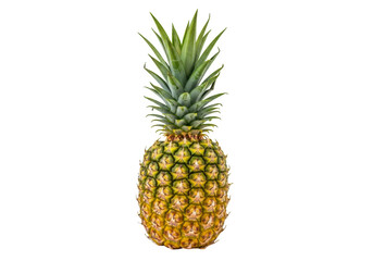 Fototapeta premium Fresh whole ripe pineapple with green leaves on a studio surface
