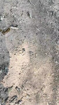 Texture of wet sandy beach ground with pebbles and coral fragments