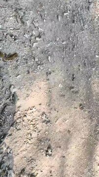 Detail of wet beach sand mixed with stone and coral fragments