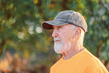 Profile portrait of senior man against green foliage at soft evening, portrait made in soft light of late evening, calm mood of slow life. Close-up shot. Concept of dignified ageing and calm character © iwavephoto