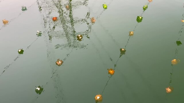 A calm, green water surface reflecting the shadows of structural or utility poles. A line of ropes or netting, adorned with small, colorful floats, drifts on the water's surface.