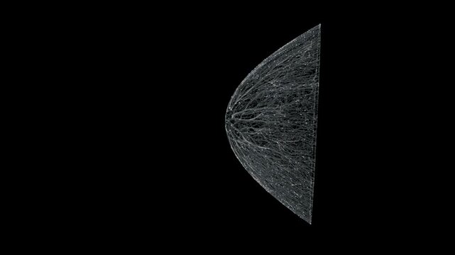 Seamless Retina Electrones Animation with Camera Rotation