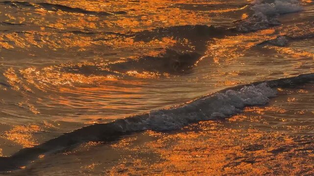 Golden hour ocean waves washing ashore