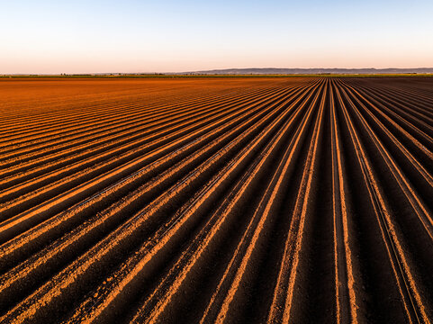 Ploughed agricultural field showing brown soil furrows in parallel lines, ready for planting under a clear sky