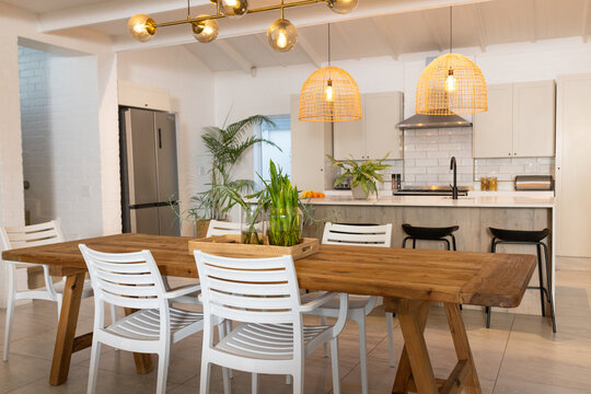 Wooden farmhouse dining table is anchoring open-plan kitchen and dining area, with potted plants