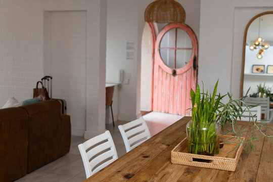 Wooden dining table holding woven tray with glass vase and tall plants in open-plan living area