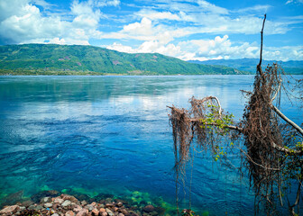Crystal blue water reflects distant green hills. Weathered tree root hangs over rocky shore. Clouds drift above calm, sunlit lake. Scene evokes quiet serenity and natural beauty © EpafrasJibrael