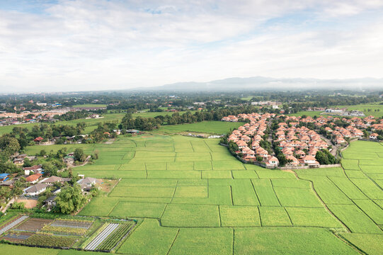 Aerial view of real estate property in San Sai, Chiang Mai, Thailand, featuring green farmland, residential estate, suburban community, land development, property investment, housing expansion.