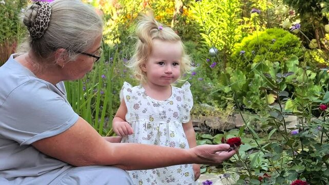 Grandmother teaches her toddler granddaughter about roses in a summer garden, childhood discovery, family bonding, nature education and outdoor learning.