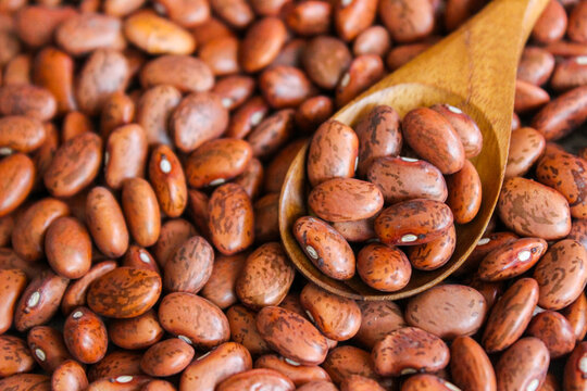 Pinto beans in wooden spoon on pinto beans background