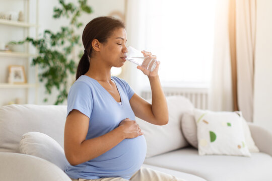 Pregnant Black woman sitting on sofa at home, drinking glass of water while holding her baby bump and maintaining healthy hydration and wellness during pregnancy
