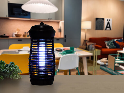 insects mosquito electric blue light killer lamp is put on nice wooden table in nice livingroom with background of bed and windows to protect repellent mosquito and other insects 