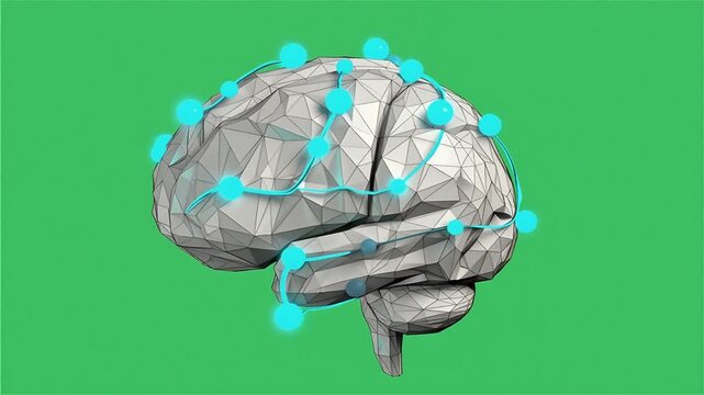 Digital Wireframe Brain 3D Vector AI Loop on Chroma Key Green Screen 5 Seconds Video