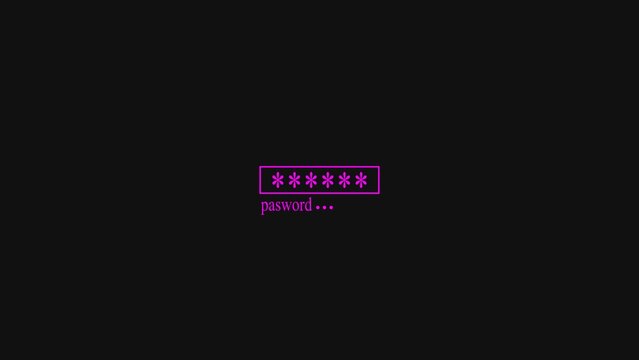 Retro computer terminal command line interface showing a password input field with pink text on a dark gray screen background