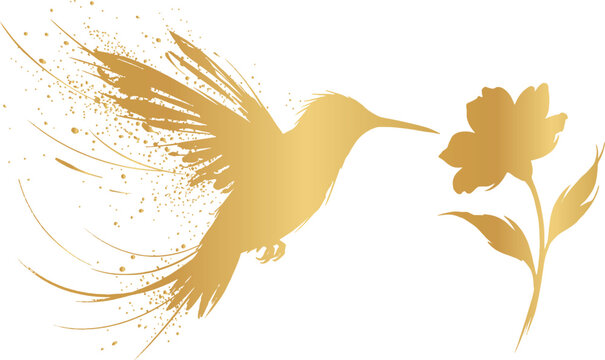 Golden hummingbird and flower illustration in silhouette on transparent background avian bird bloom botanical bright brushstroke colibri contour design element