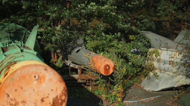Obsolete, abandoned, and rusty combat missiles and shells stand amidst the natural landscape. A weapons graveyard. An echo of war.