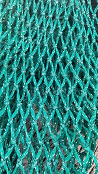 Green Knotted Fishing Net Texture
