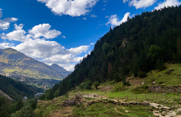 Fototapeta premium peaceful mountain landscape with forested hills and green grassy valley under a clear blue sky from a valley floor perspective, still scene of nature photography.