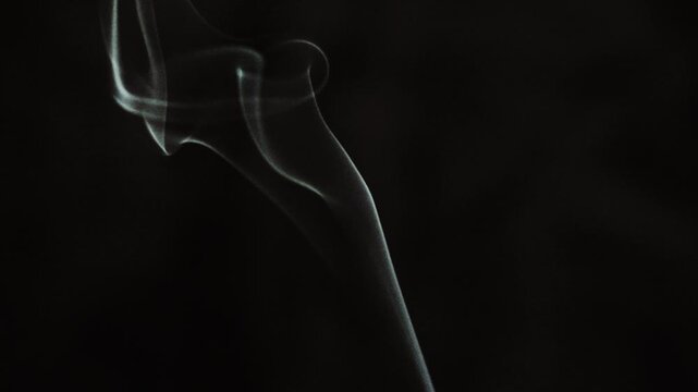 Delicate incense smoke slowly curling and drifting upward against a pure black background, slow motion. Suitable for compositing, overlays, mattes, visual effects, transitions and abstract backgrounds