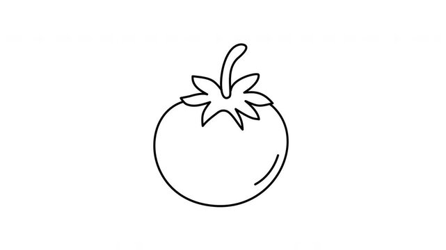 tomato outline vegetable