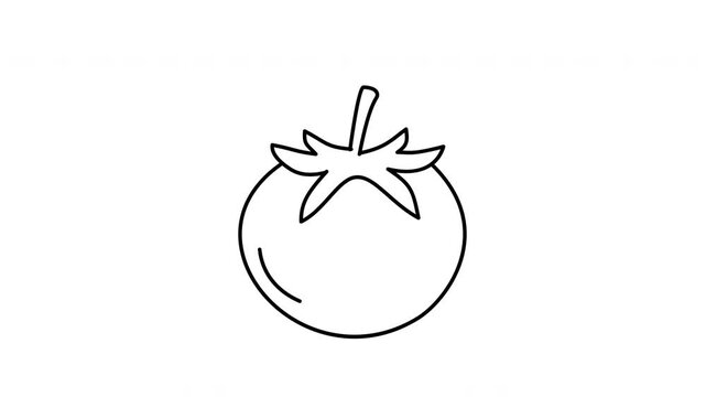 tomato outline vegetable line art