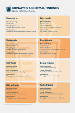 Kidney Lab Values &ndash; Quick Reference Guide