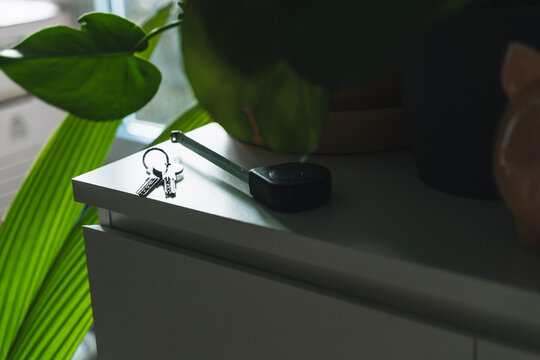 Metal house keys and a measuring tape lie on a white cabinet next to a large green potted plant. Interior design planning and real estate renovation domestic lifestyle concept.